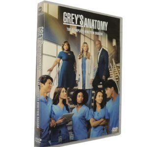 Grey's Anatomy Season 19 DVD Brand New Region 1